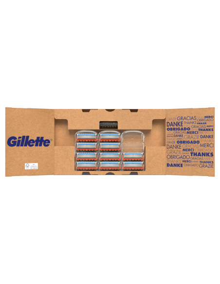 Gillette Fusion5 Power Raseerija Meestele + 10 Tera