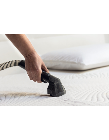 2482 Ariete Spot Cleaner Heat Pro 750W vaipade...