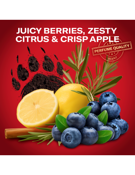 KAST 4 tk! Old Spice Bearglove Meeste Dušigeel Ja Šampoon, 1000 ml