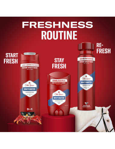 KAST 3 tk! Old Spice Whitewater meeste...