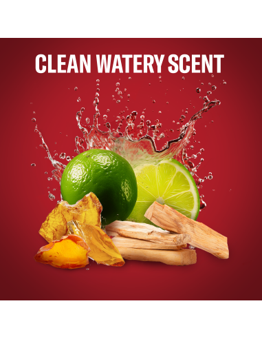 Old Spice Whitewater dušigeel ja šampoon 1000 ml