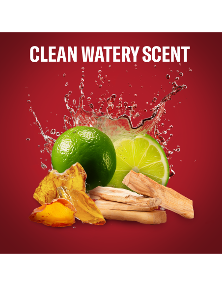 KAST 4 tk! Old Spice Whitewater dušigeel ja šampoon 1000 ml