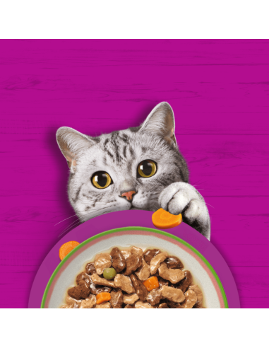 Whiskas Tasty Mix 40x85 g