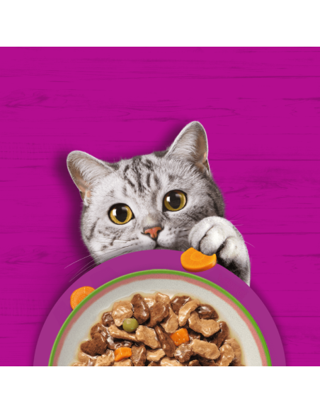 Whiskas Tasty Mix 40x85 g