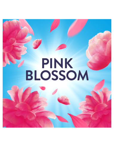 KAST 6 tk! LENOR pesuloputusvahend Pink Blossom...