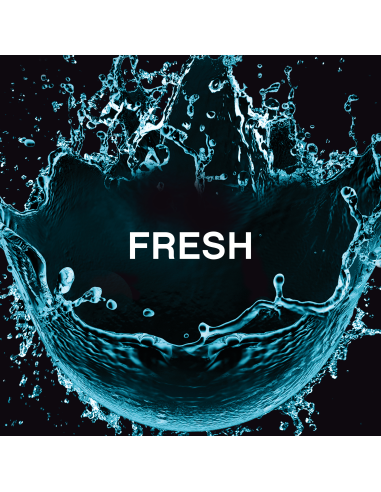 LENOR lõhnagraanulid Fresh 495 g