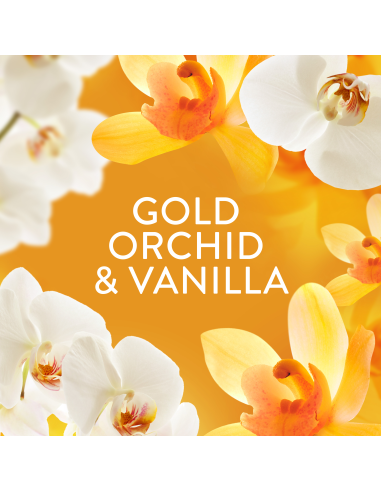 LENOR lõhnagraanulid Gold Orchid 495 g