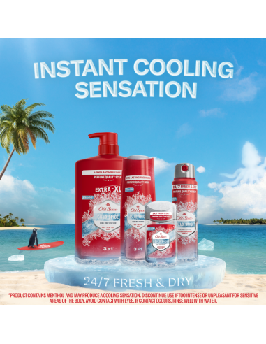 Old Spice Cold Spice meeste dušigeel ja...