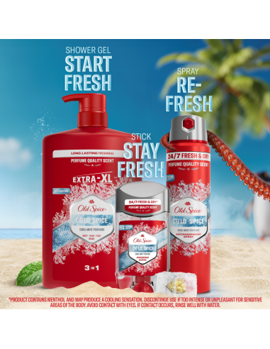Old Spice Cold Spice meeste dušigeel ja...