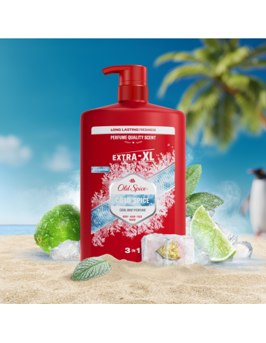 Old Spice Cold Spice meeste dušigeel ja...