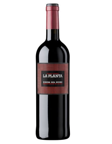 Arzuaga La Planta Magnum 150cl 14%