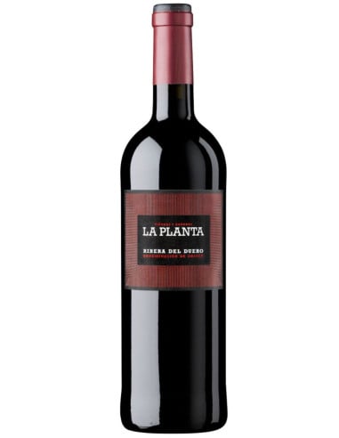 Arzuaga La Planta 75cl 14%