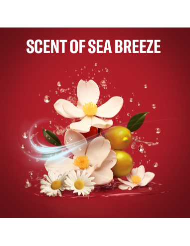 Old Spice Deep Sea dušigeel ja šampoon 4x1000ml