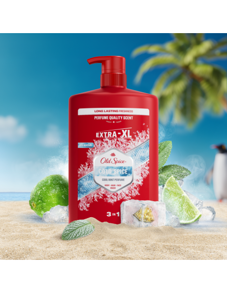 Old Spice Cold Spice dušigeel ja šampoon 4x1000 ml