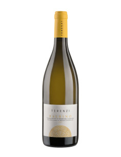 Terenzi Balbino Vermentino...