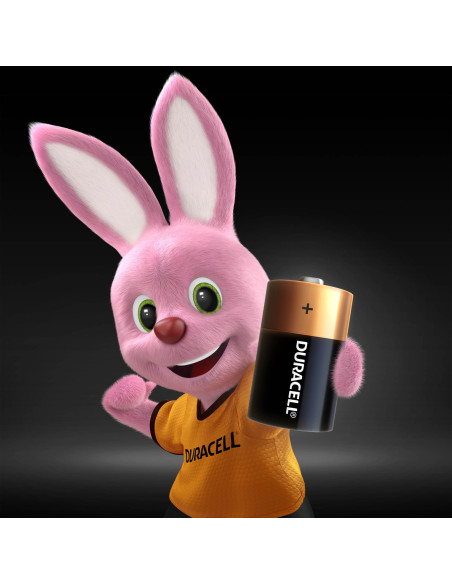 Duracell patarei D/MN1300 2 tk