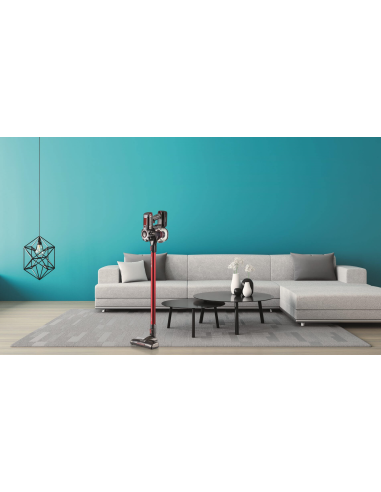 2757 Ariete 22V LITHIUM RED tolmuimeja