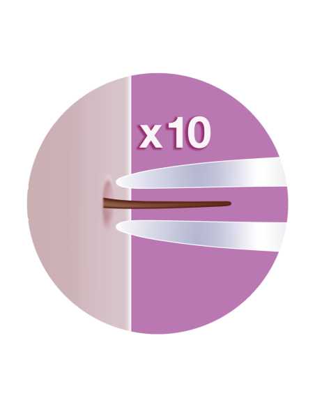 912 FaceSpa Pro Sensitive näohoolduse komplekt / näoepilaator-puhastushari-toniseerija 