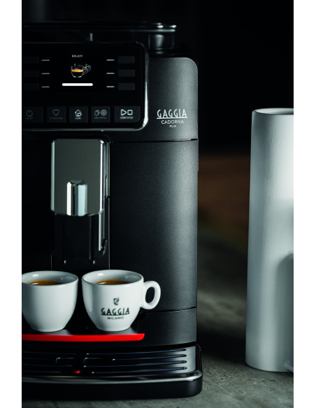 RI9601/01 Gaggia Cadorna Plus Kohvimasin
