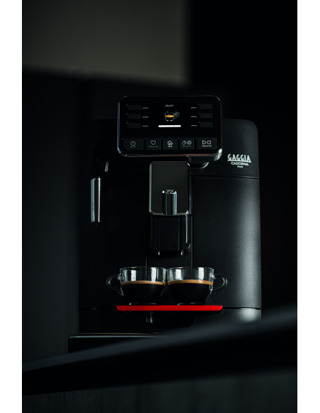 RI9601/01 Gaggia Cadorna Plus Kohvimasin