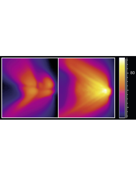 AS720 Satin-Hair koolutaja