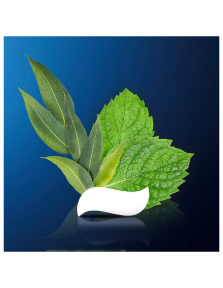 Oral-B Professional Regenerate Enamel Daily Protection 75ml Hambapasta