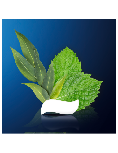 Oral-B Professional Regenerate Enamel Gentle...