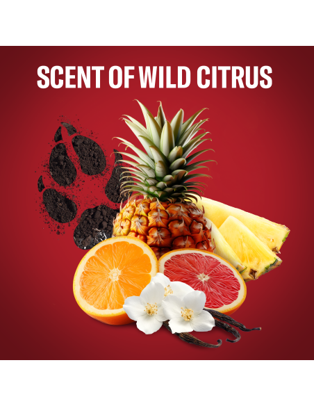 KAST 4 tk! Old Spice Wolfthorn Meeste Dušigeel Ja Šampoon, 1000ml