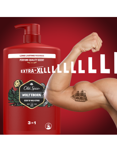 KAST 4 tk! Old Spice Wolfthorn Meeste Dušigeel...