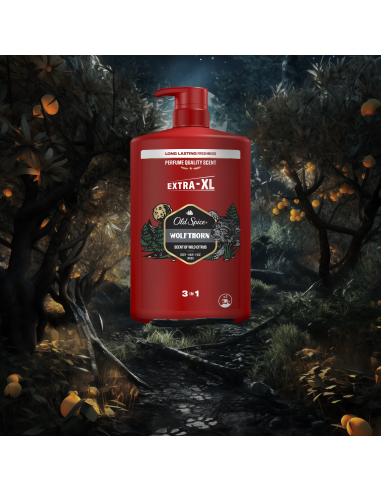 KAST 4 tk! Old Spice Wolfthorn Meeste Dušigeel...