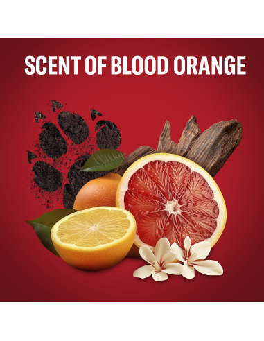 KAST 6 tk! Old Spice Tigerclaw Meeste Dušigeel...