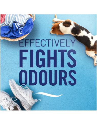 Ambi Pur Flower & Spring õhuvärskendaja, 2 x...