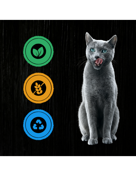 KAST 4 tk! SHEBA Maitsevalik Kastmes Konserv (6x400g) Nature's Collection Märgtoit Täiskasvanud Kassidele