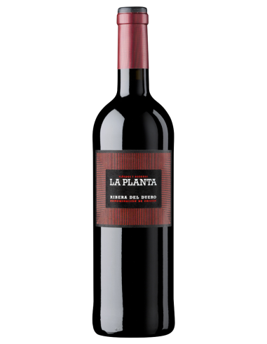 Arzuaga La Planta 75cl 14,5%