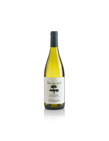 Mastroberardino Morabianca Falanghina 75cl 13%
