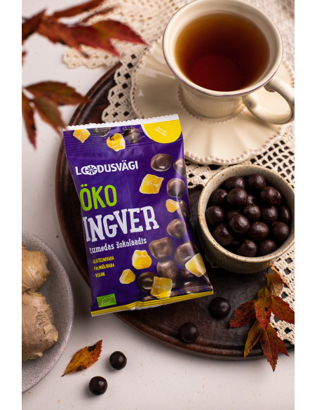 Loodusvägi ÖKO näks ingver tumedas šokolaadis 60 g AT-BIO-402