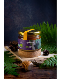 KAST 6tk! Loodusvägi ÖKO...