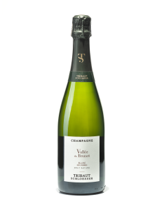 Champagne Tribault Blanc de...