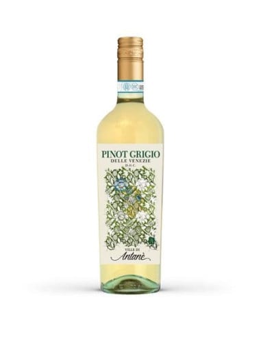 Ville di Antane Pinot Grigio IGT 75cl 12,5%