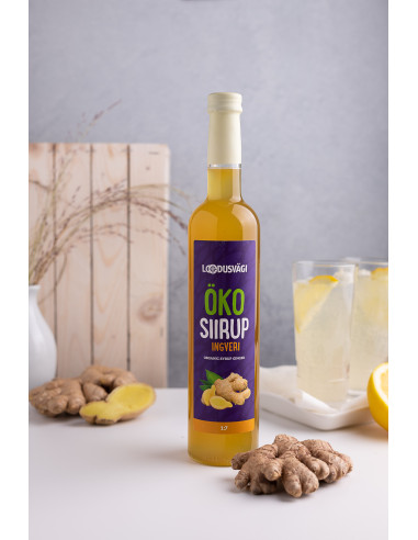 Loodusvägi ÖKO ingveri siirup 500ml AT-BIO-301
