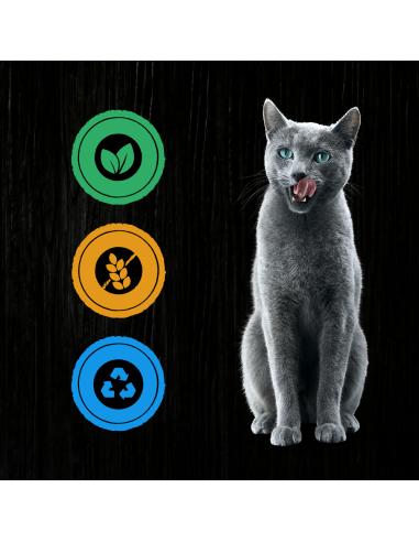 SHEBA Maitsevalik Kastmes Konserv (6x400g)...