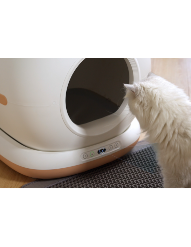 Dr.Stern automaatne kassiliivakast WiFi