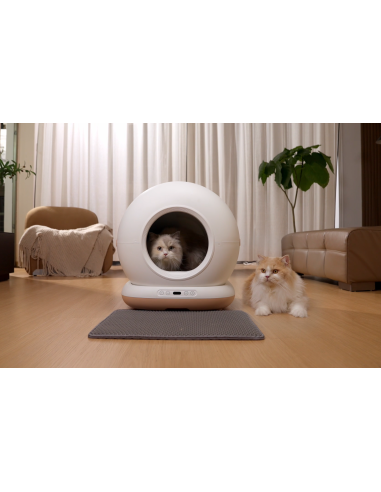 Dr.Stern automaatne kassiliivakast WiFi