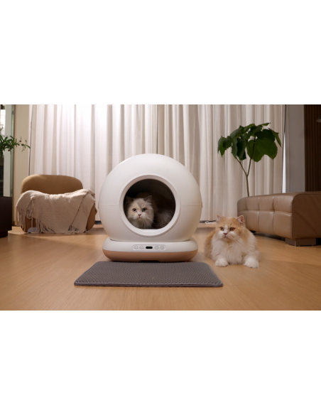 Dr.Stern automaatne kassiliivakast WiFi