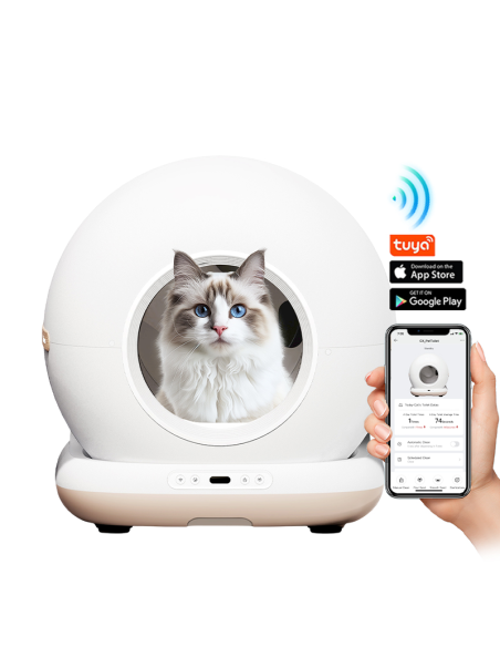 Dr.Stern automaatne kassiliivakast WiFi