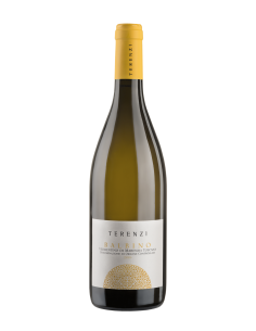 Terenzi Balbino Vermentino...