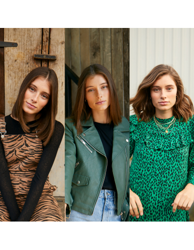 BaByliss Juuksekoolutaja Air Style 1000 AS136E