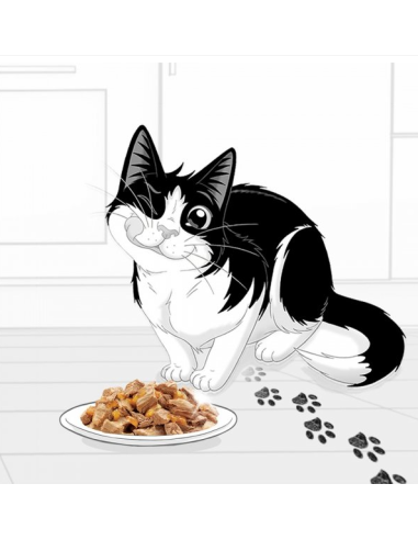 Felix Fantastic kassikonserv veiseliha, kana,...