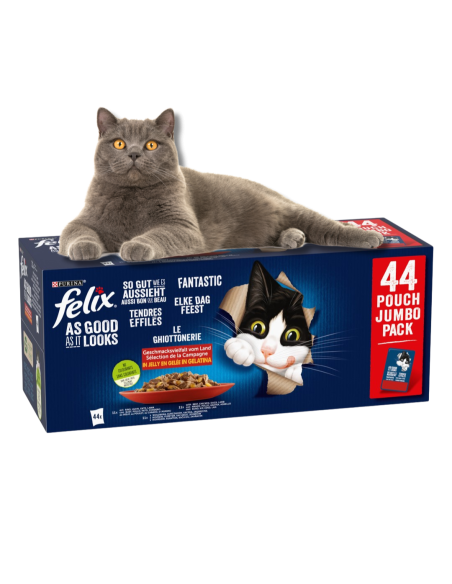 Felix Fantastic kassikonserv veiseliha, kana, part, lambaliha (44 x 85 g)