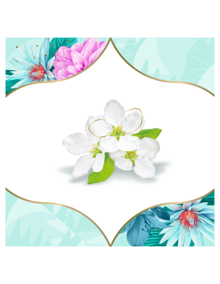 Discreet Breathable Multiform Spring Breeze Pesukaitsmed, 100 tk